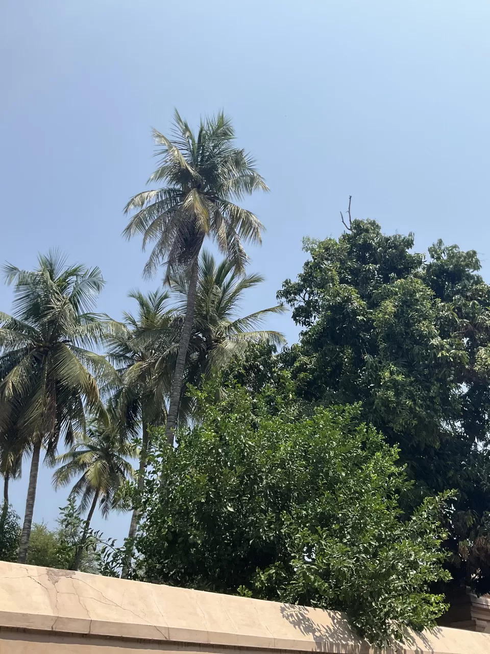 Photo of This is how I generally plan my itinerary to Srirangam as a typical Vaishnava! by Hemanth Bhargav Murthy (Hemuu) 