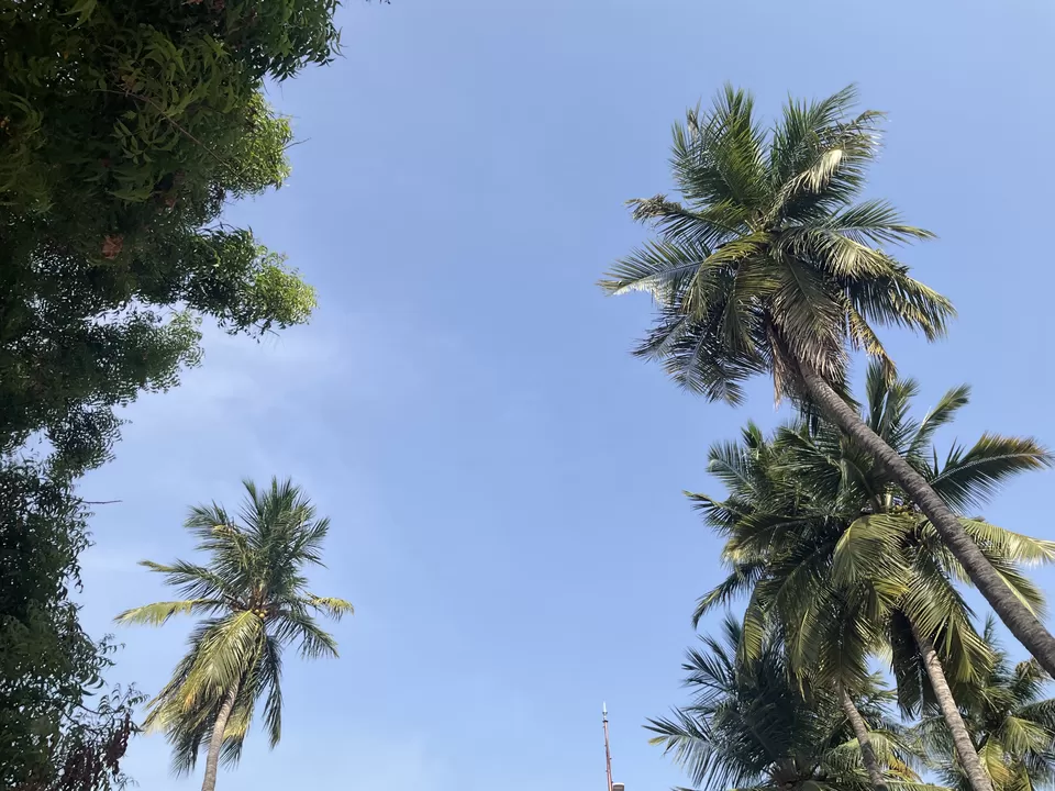 Photo of This is how I generally plan my itinerary to Srirangam as a typical Vaishnava! by Hemanth Bhargav Murthy (Hemuu) 