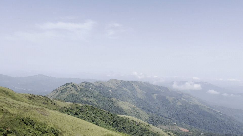 Photo of Chikmagalur - Mountains and Coffee (Day 1/3) by Abhinav Jain