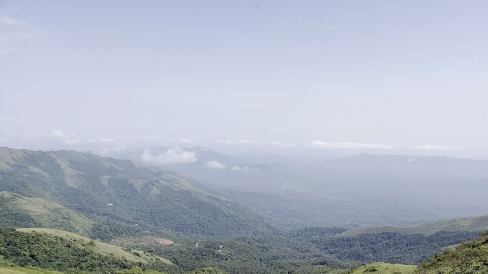 Photo of Chikmagalur - Mountains and Coffee (Day 1/3) by Abhinav Jain