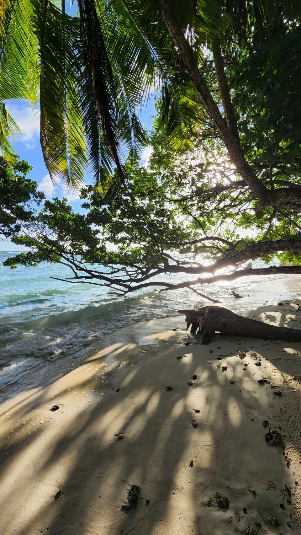 Photo of Fly to this VISA Free country for all passport holders- "Seychelles" by Travelbuddiesforlife_Rk