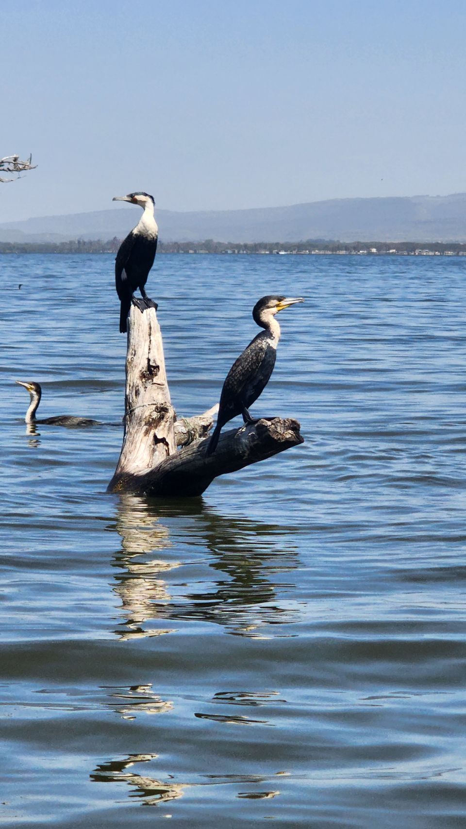 Photo of 10 Days magical Kenya itinerary: A combination of wildlife and beaches by Travelbuddiesforlife_Rk
