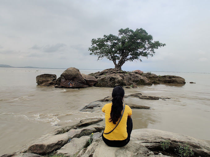 Photo of A Hidden Gem in Guwahati : Lonely Tree by Niraj Sahani