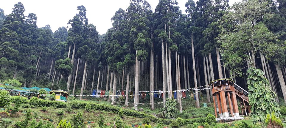 Photo of Trip To Darjeeling/Sikkim – A Travelogue by Smita Kompal Lade