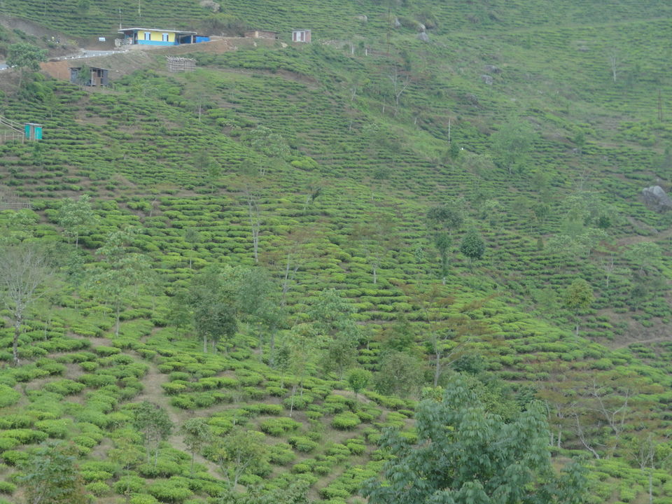 Photo of Trip To Darjeeling/Sikkim – A Travelogue by Smita Kompal Lade
