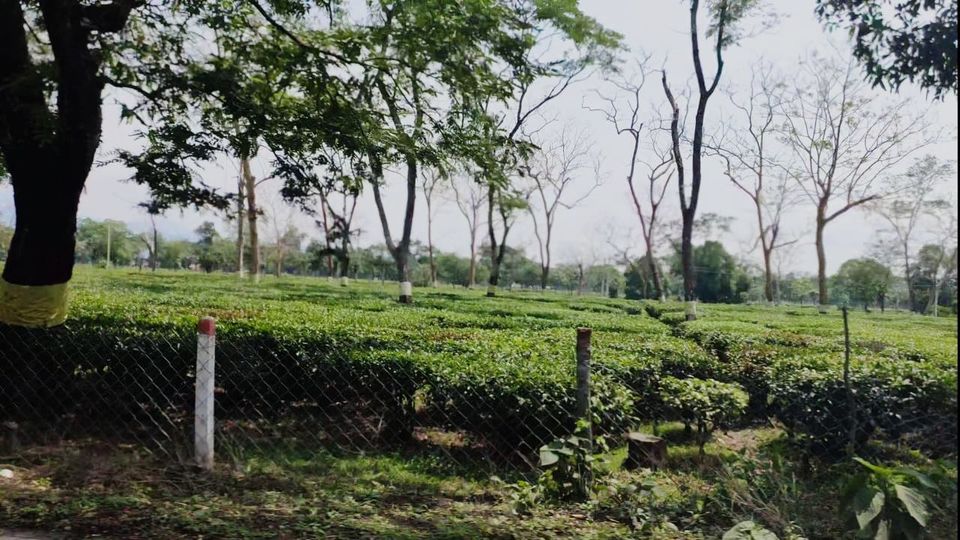Photo of Trip To Darjeeling/Sikkim – A Travelogue by Smita Kompal Lade