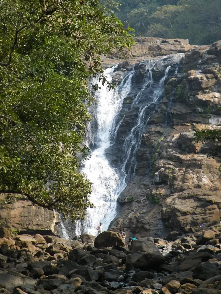 Photo of Barda Waterfall, Chankhal by Archana Solanki
