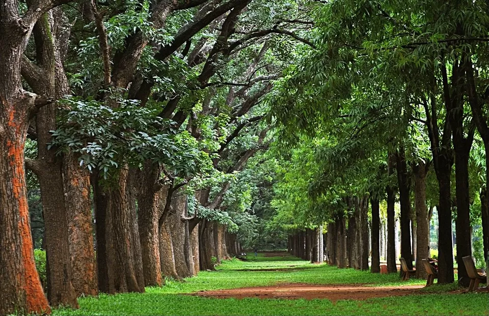 Photo of Cubbon Park, Bengaluru by Archana Solanki