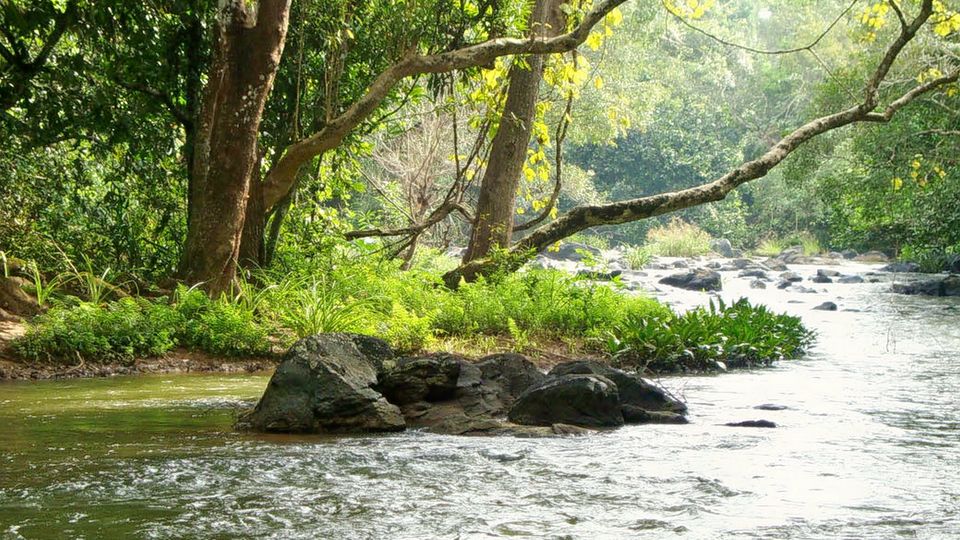 Photo of Wayanad & Coorg : Best tourist places and Things to Do. by Rohit Prajapati (Aaric)