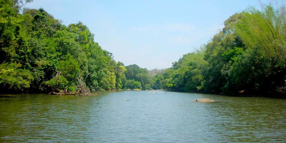 Photo of Wayanad & Coorg : Best tourist places and Things to Do. by Rohit Prajapati (Aaric)