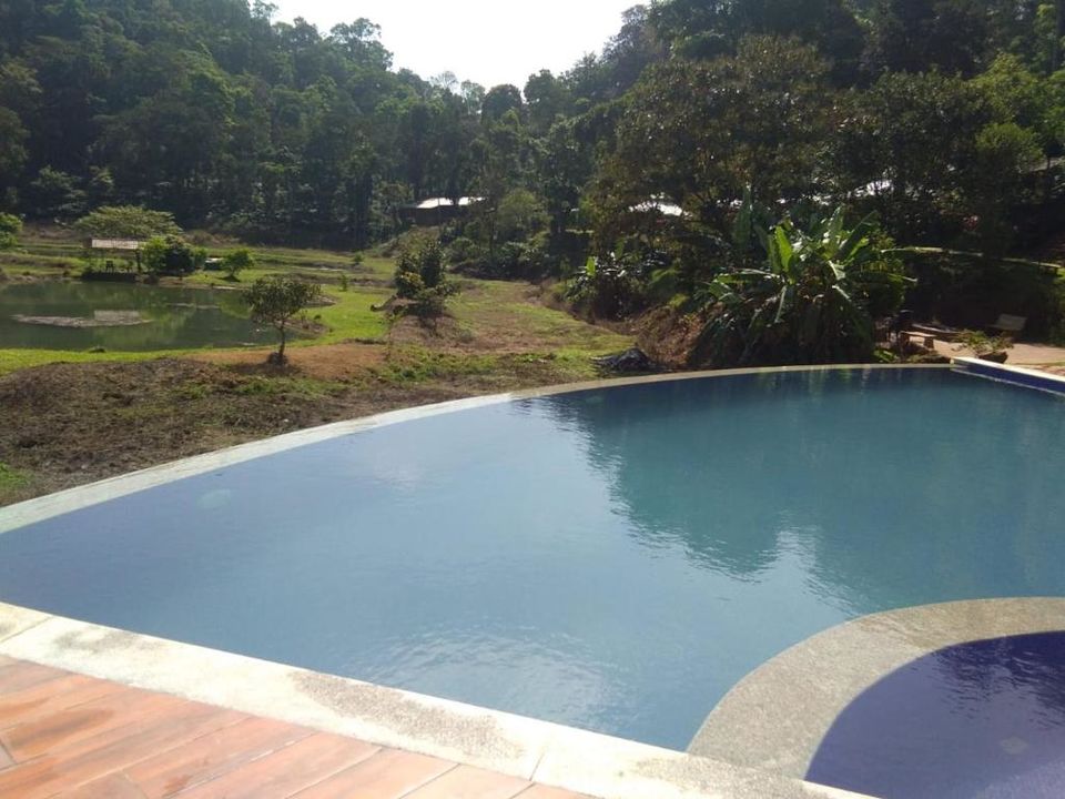 Photo of Wayanad & Coorg : Best tourist places and Things to Do. by Rohit Prajapati (Aaric)