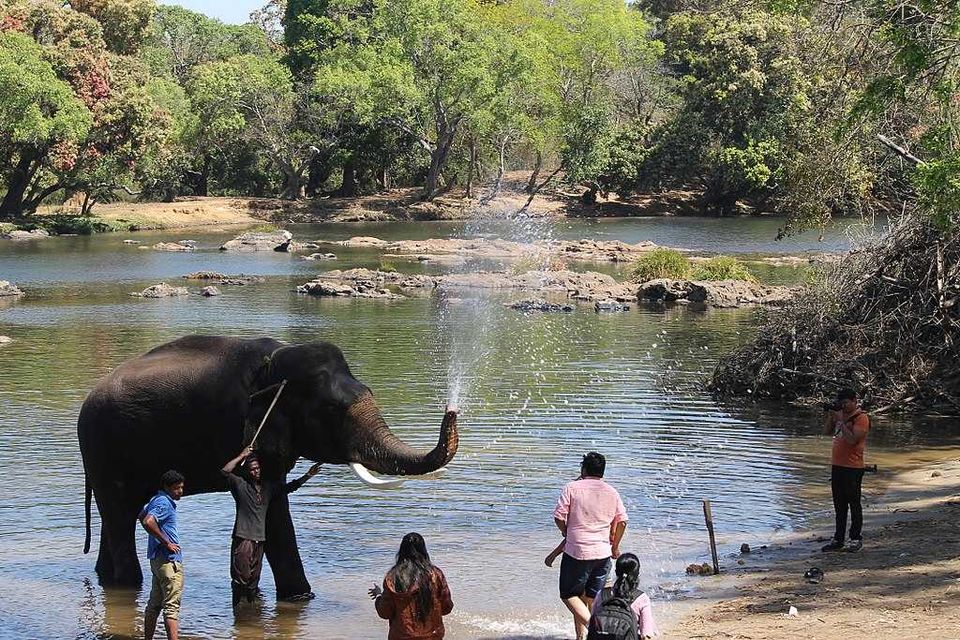 Photo of Wayanad & Coorg : Best tourist places and Things to Do. by Rohit Prajapati (Aaric)