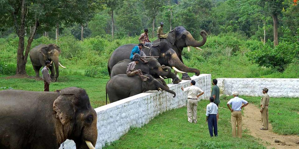 Photo of Wayanad & Coorg : Best tourist places and Things to Do. by Rohit Prajapati (Aaric)