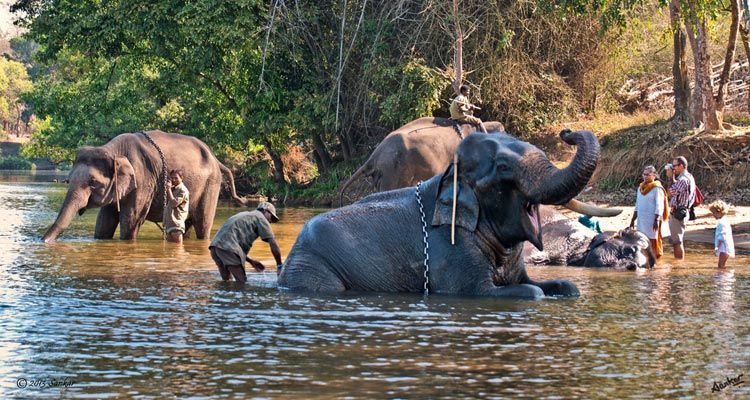 Photo of Wayanad & Coorg : Best tourist places and Things to Do. by Rohit Prajapati (Aaric)