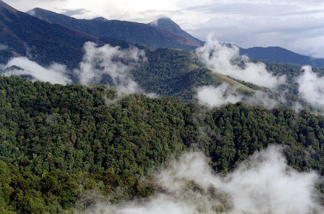 Photo of Wayanad & Coorg : Best tourist places and Things to Do. by Rohit Prajapati (Aaric)