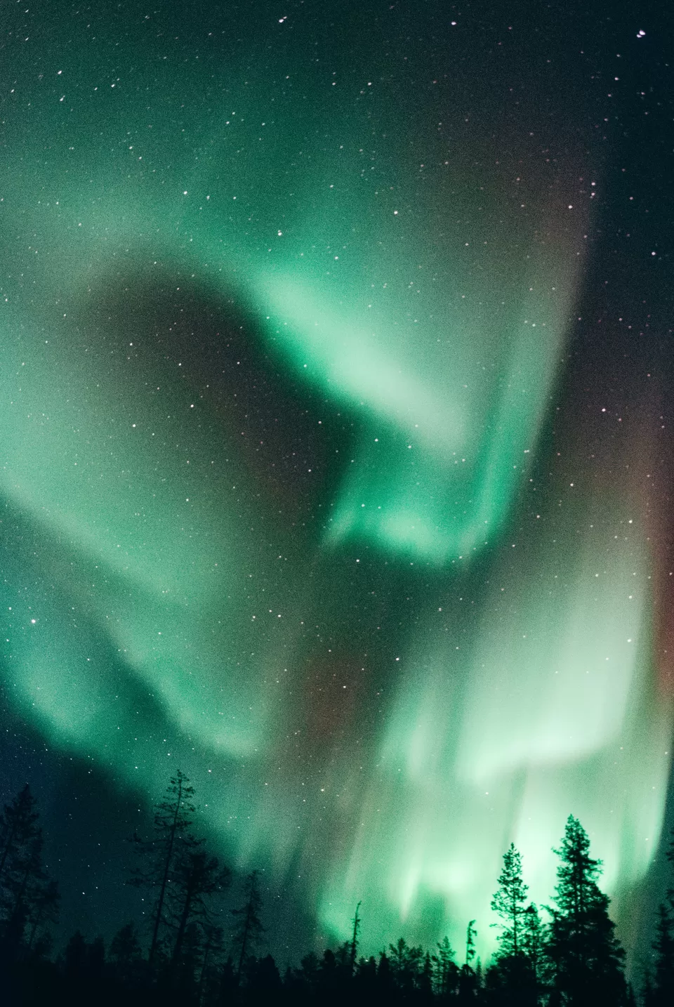 Photo of Just In: Auroras Light Up The Sky Over Ladakh With Its Riot of Colors by Satarupa Mitra Datta