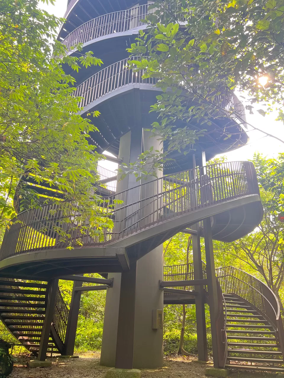 Photo of Trailblazing Through Nature's Playground: 10 Exciting Singapore Nature Parks for Day Hikes by Satarupa Mitra Datta