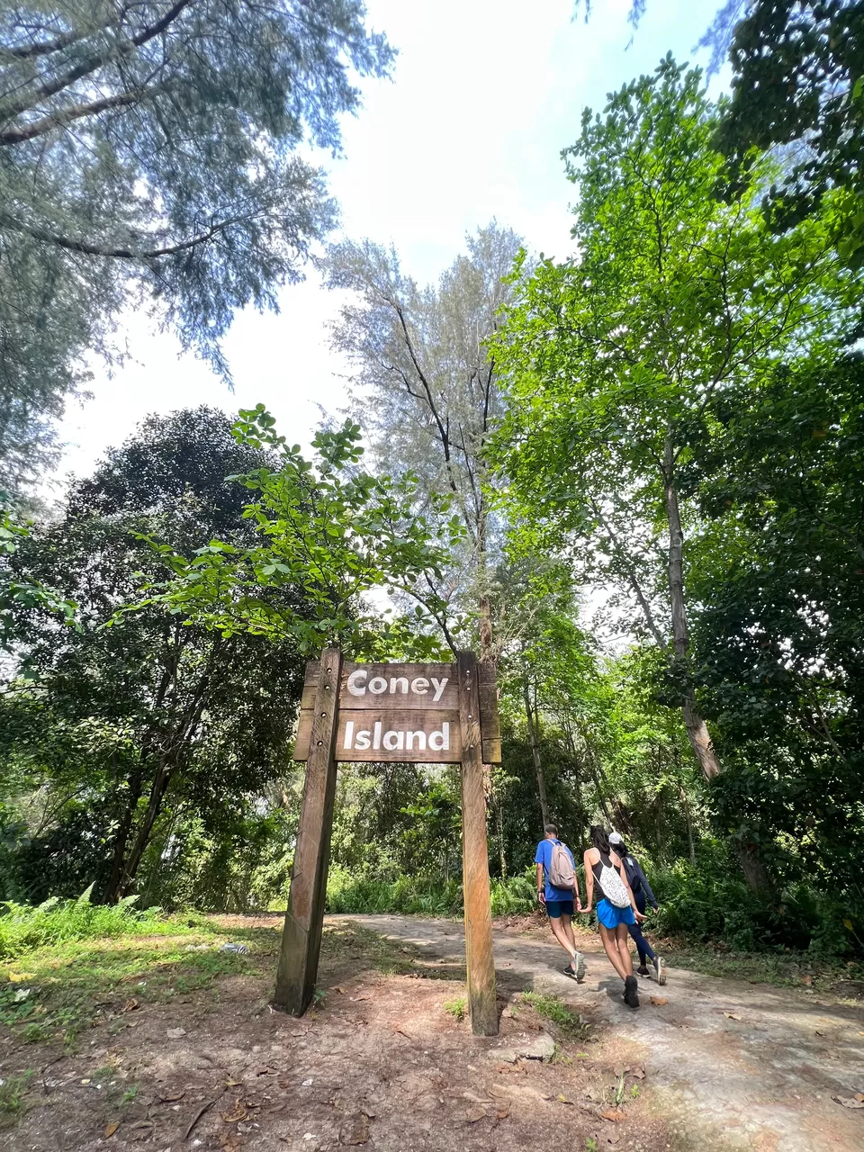 Photo of Trailblazing Through Nature's Playground: 10 Exciting Singapore Nature Parks for Day Hikes by Satarupa Mitra Datta