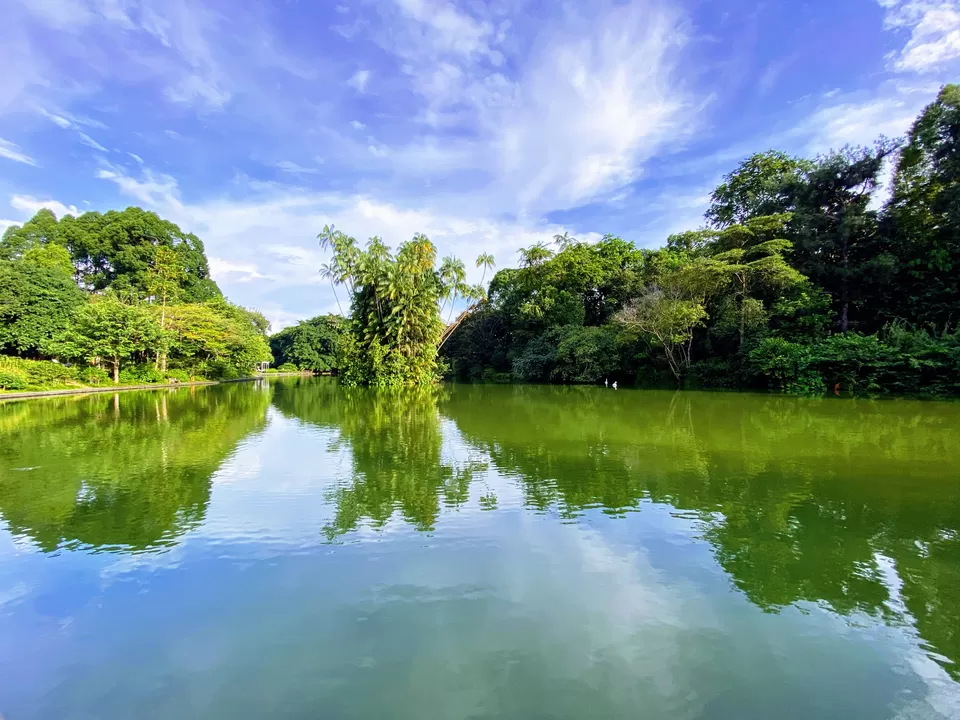 Photo of Trailblazing Through Nature's Playground: 10 Exciting Singapore Nature Parks for Day Hikes by Satarupa Mitra Datta