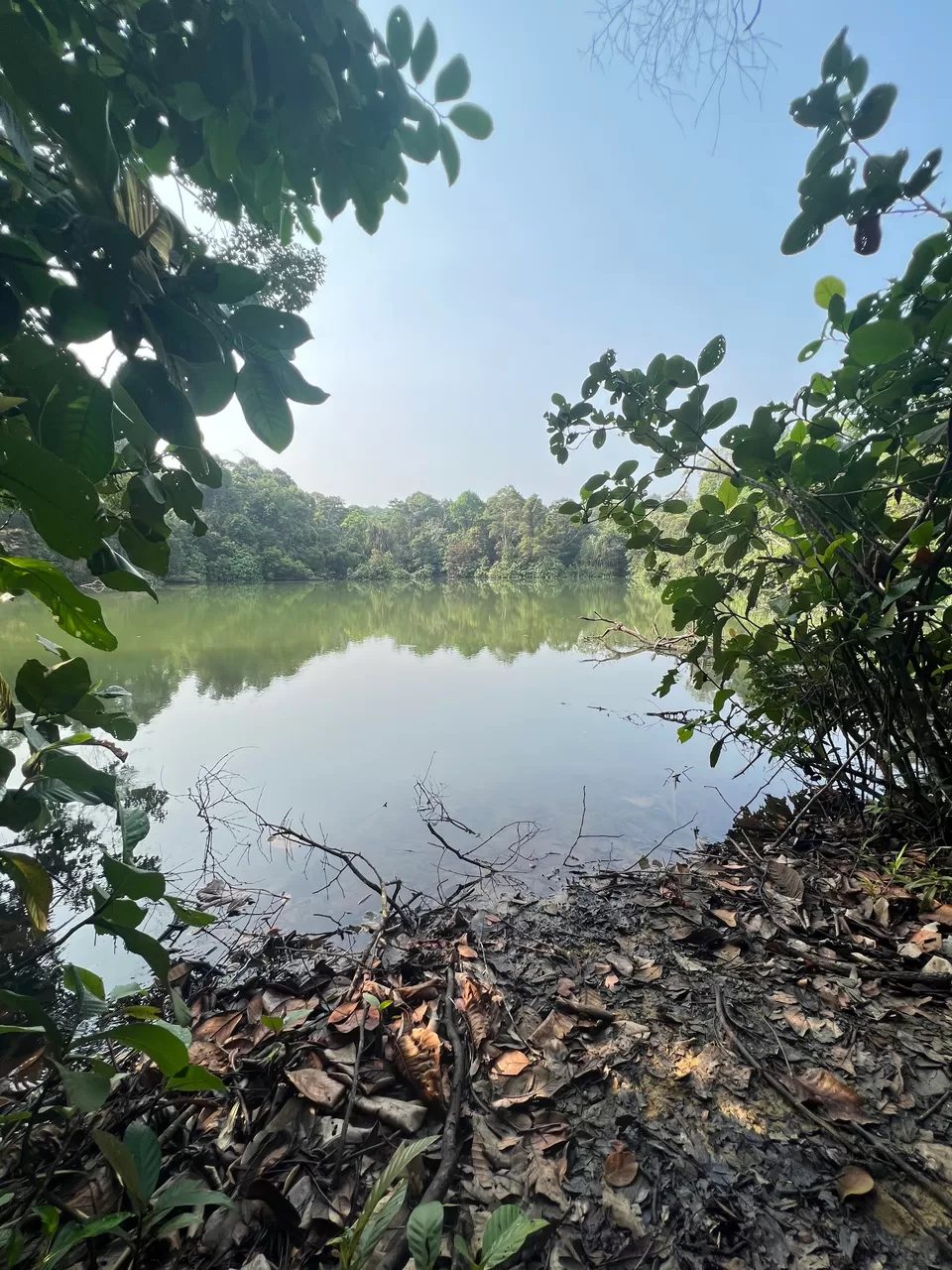 Photo of Trailblazing Through Nature's Playground: 10 Exciting Singapore Nature Parks for Day Hikes by Satarupa Mitra Datta