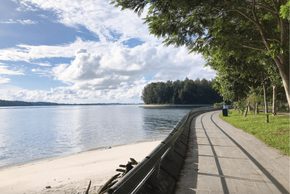 Photo of Trailblazing Through Nature's Playground: 10 Exciting Singapore Nature Parks for Day Hikes by Satarupa Mitra Datta