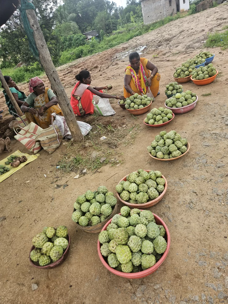Photo of Chitrakoot Fall: 'Niagara of India' and its ethereal beauty by Samapti Das | @curvy_bongshell