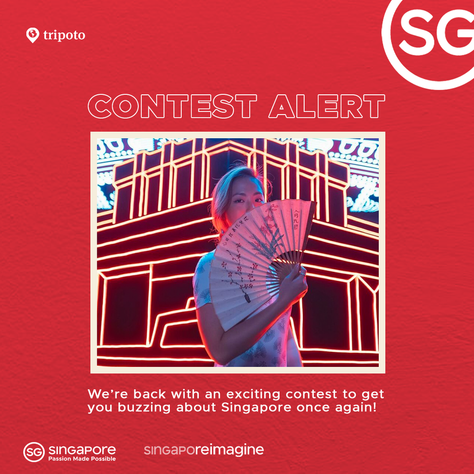 Photo of Enter the Singapore-special Panchi Befikra Contest & Win Prizes by Apple, boAt and More! by Neeti