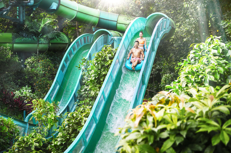 Photo of A Fun Family Holiday in Singapore: Swimming With Dolphins, Meeting Minions & Riding Roller Coasters! by Kadambari Bhatte (curlytravelmess)