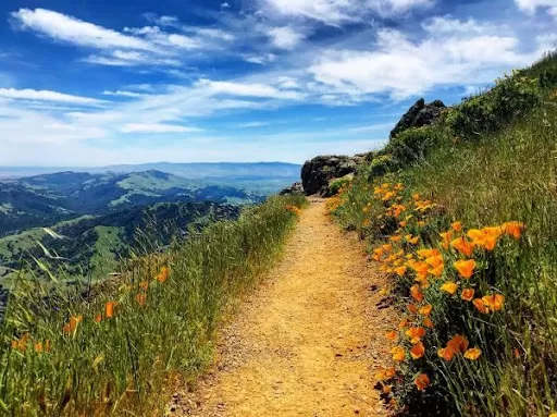 Photo of Wine Trails, Local Breweries & Outdoor Attractions: California’s Tri-Valley Promises a Vibrant Vacay by Namrata Das Adhikary