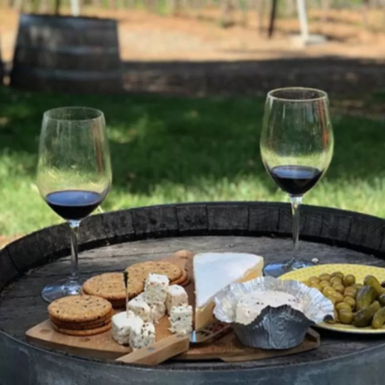 Photo of Wine Trails, Local Breweries & Outdoor Attractions: California’s Tri-Valley Promises a Vibrant Vacay by Namrata Das Adhikary