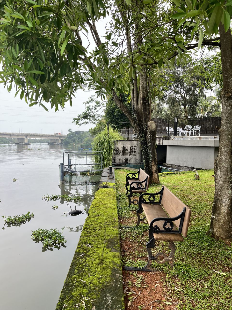 Photo of Best Stays and Places on a 5 day short trip to Kerala :) by DIVYA JAISWAL