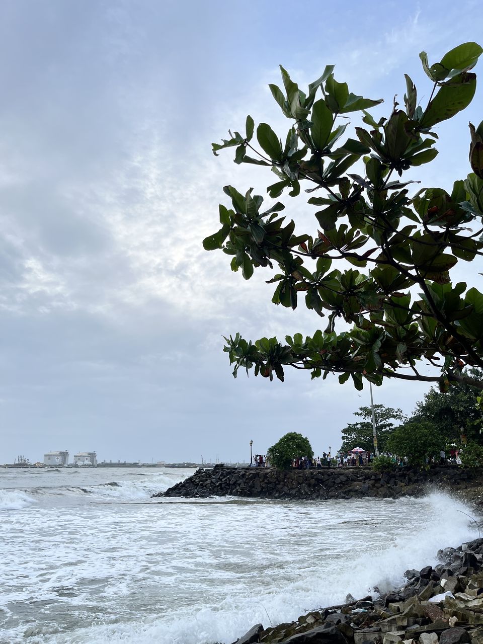 Photo of Best Stays and Places on a 5 day short trip to Kerala :) by DIVYA JAISWAL