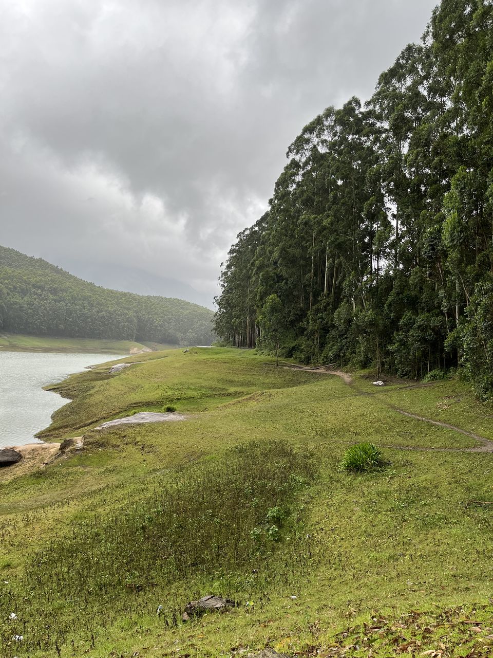 Photo of Best Stays and Places on a 5 day short trip to Kerala :) by DIVYA JAISWAL