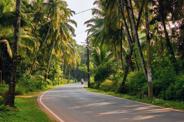 Photo of If You're Planning a Trip To Goa This Monsoon, Here Are the Things You Just Can't Miss by Vedant Khanduja