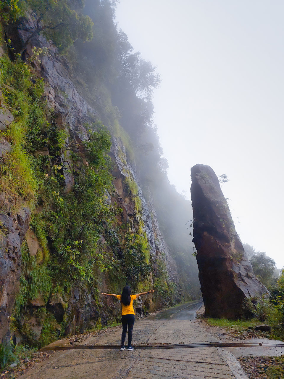 Photo of In The Land of Clouds - Meghalaya in Monsoon by Devi