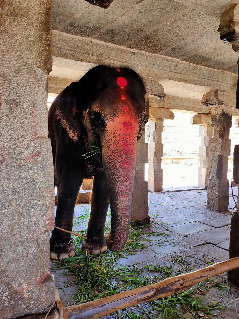 Photo of Visiting Hampi during Summer/Monsoon - Is it worth? by Saikat Chowdhury