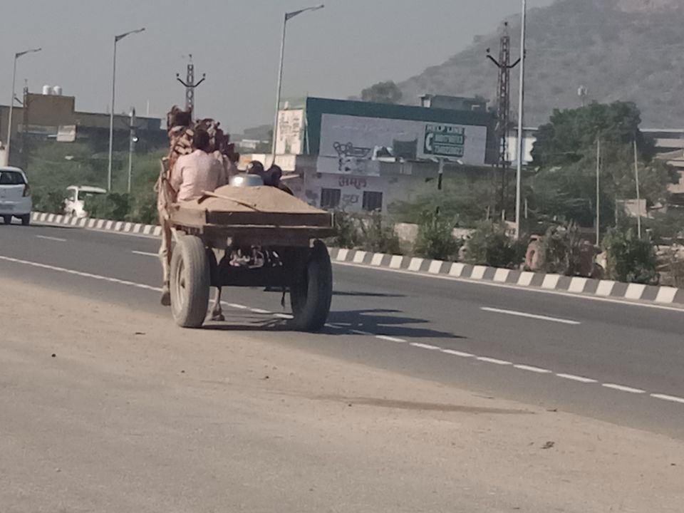 Photo of Rajasthan Biking - Safari Routes by Devansh