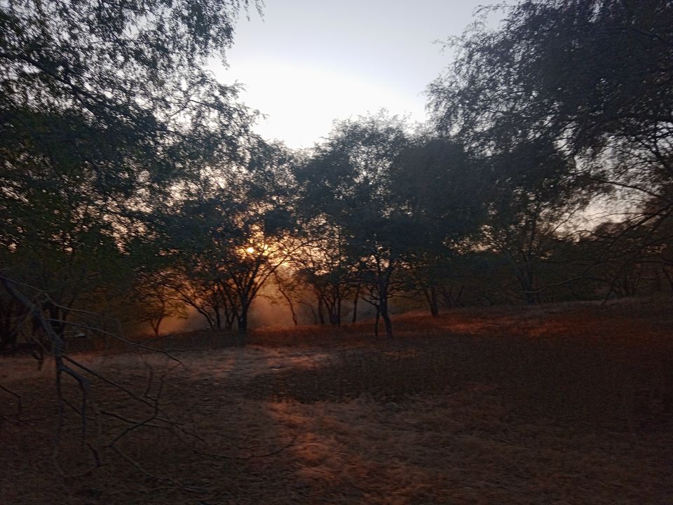 Photo of Rajasthan Biking - Safari Routes by Devansh