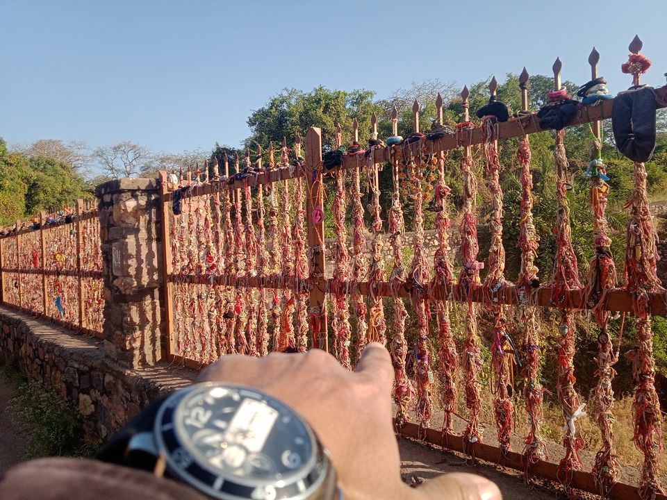 Photo of Rajasthan Biking - Safari Routes by Devansh