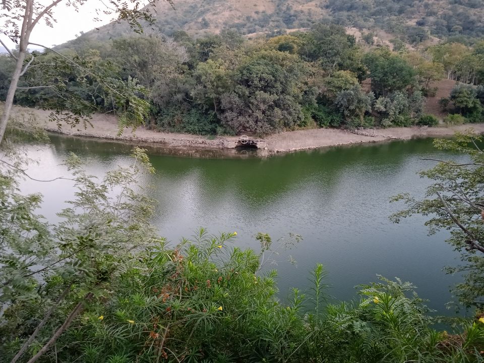 Photo of Rajasthan Biking - Safari Routes by Devansh