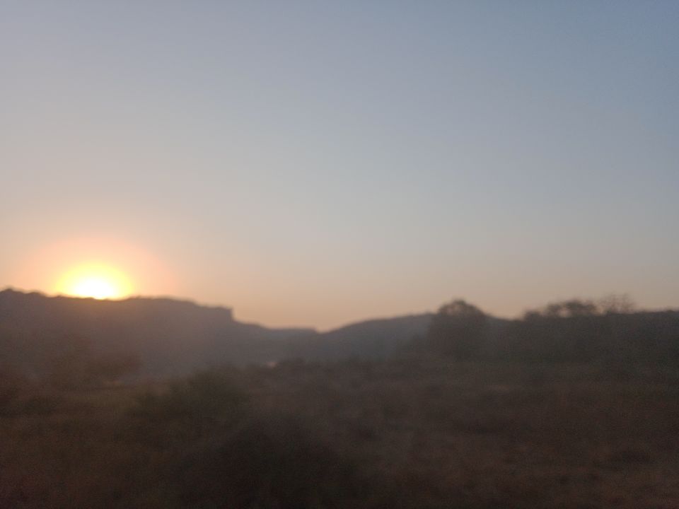 Photo of Rajasthan Biking - Safari Routes by Devansh