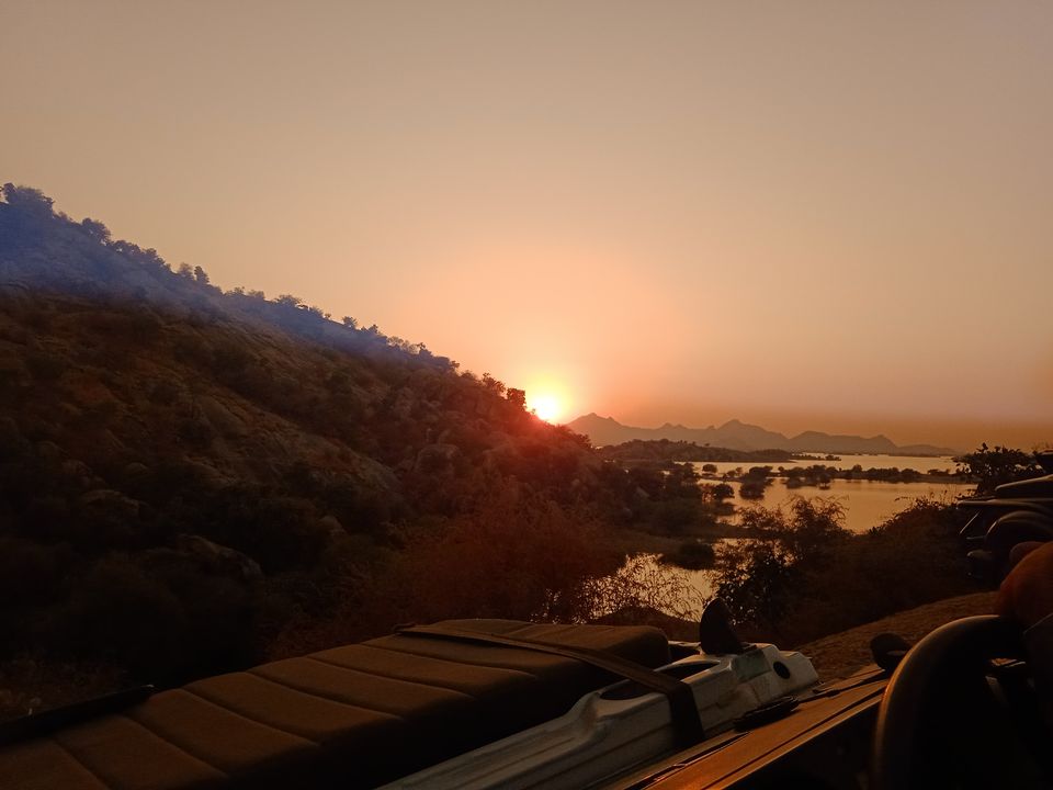 Photo of Rajasthan Biking - Safari Routes by Devansh