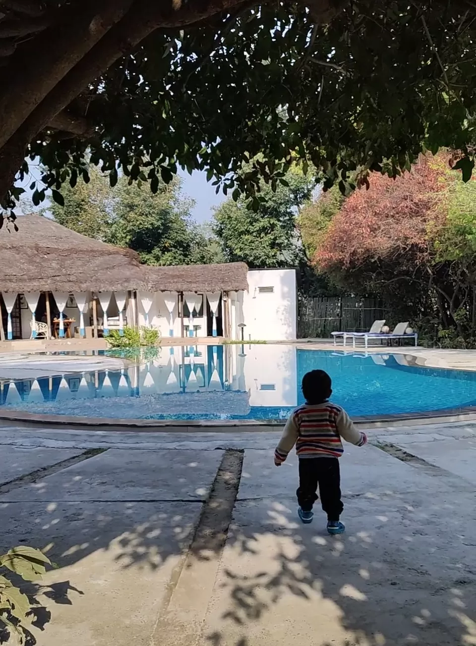 Photo of A swoon-worthy date at a tucked away paradise at Jim Corbett by Geetanjali