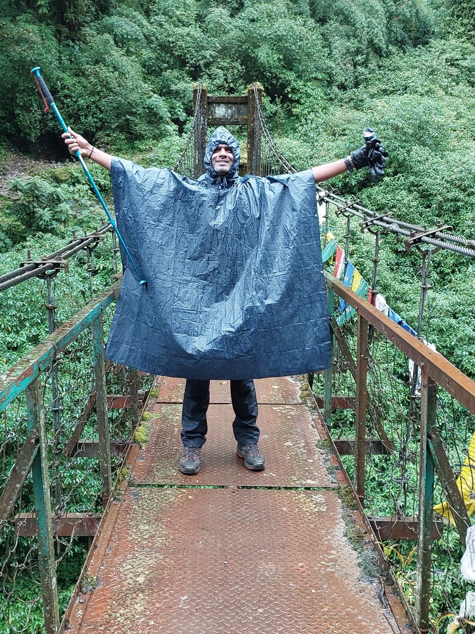 Photo of Clouded @Dzongri by Debjyoti Majumder