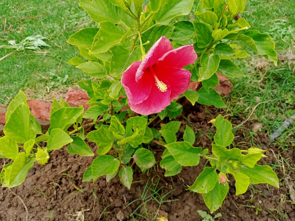 Photo of Weekend jaunt to "DAGSHAI" !!! by across coordinatesss