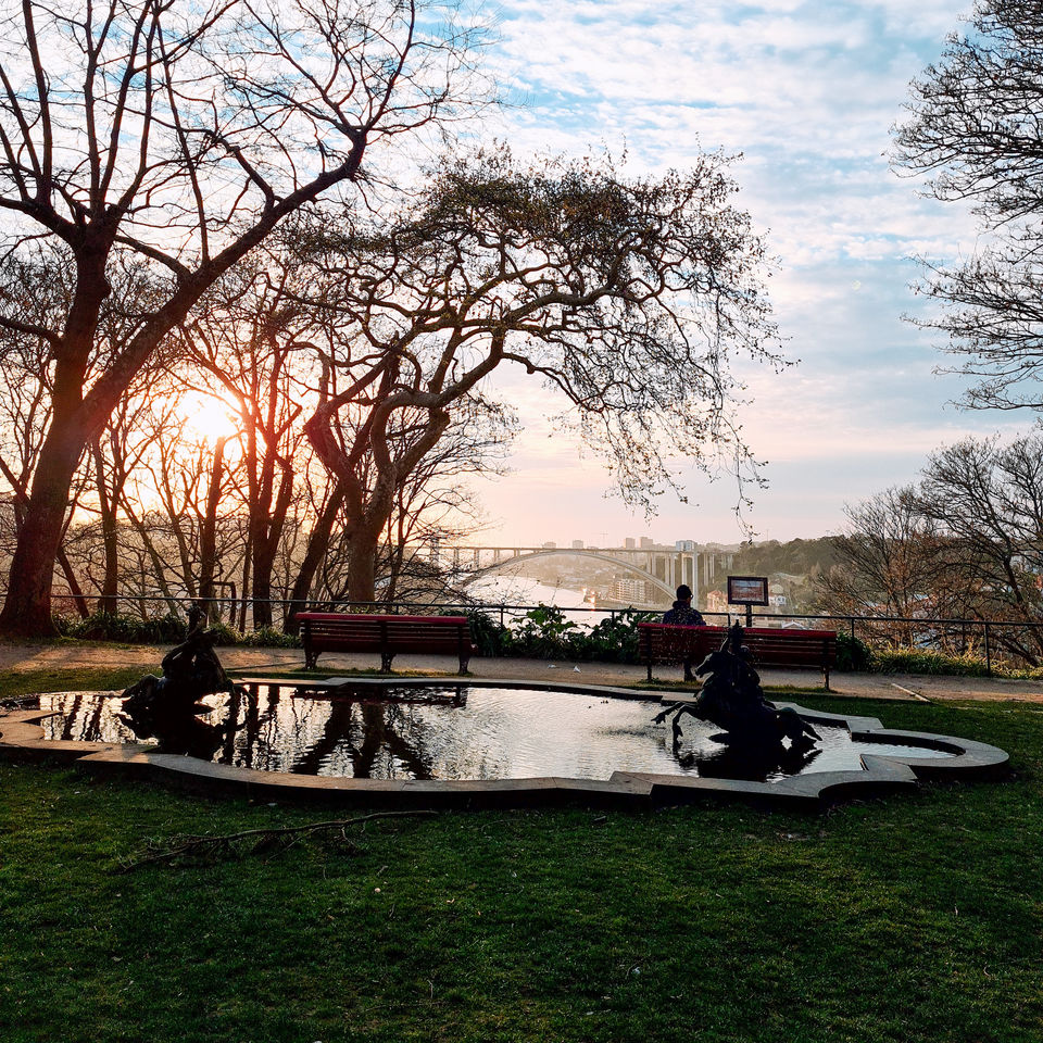 Photo of Parque da Cidade do Porto, Porto by ravi teja