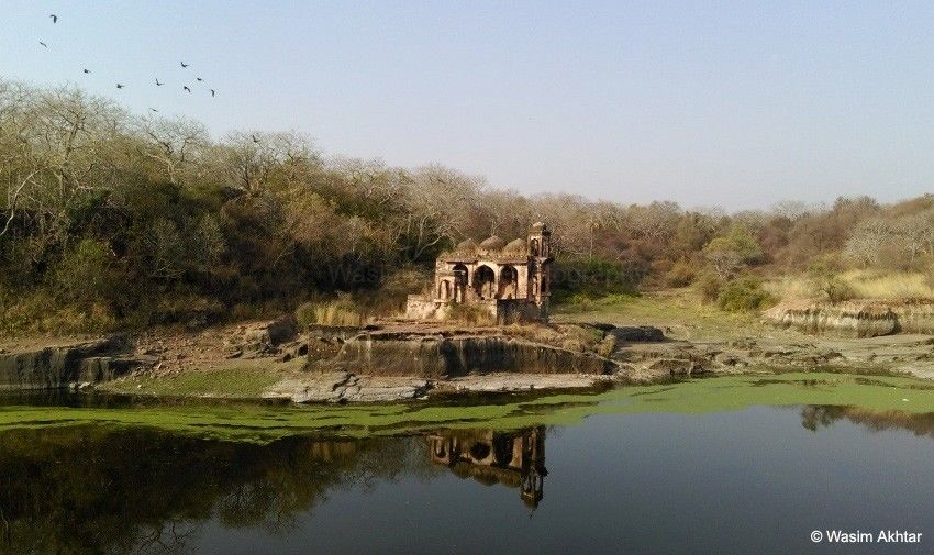 Photo of Sawai Madhopur: The Gateway To Ranthambore by Sinchita Sinha