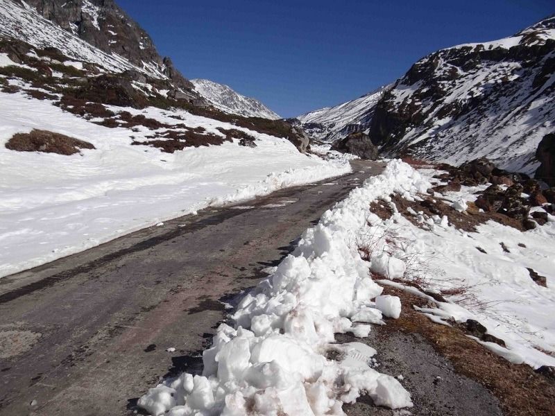 Photo of All You Need to Know About Yumthang Valley, Sikkim by Sinchita Sinha