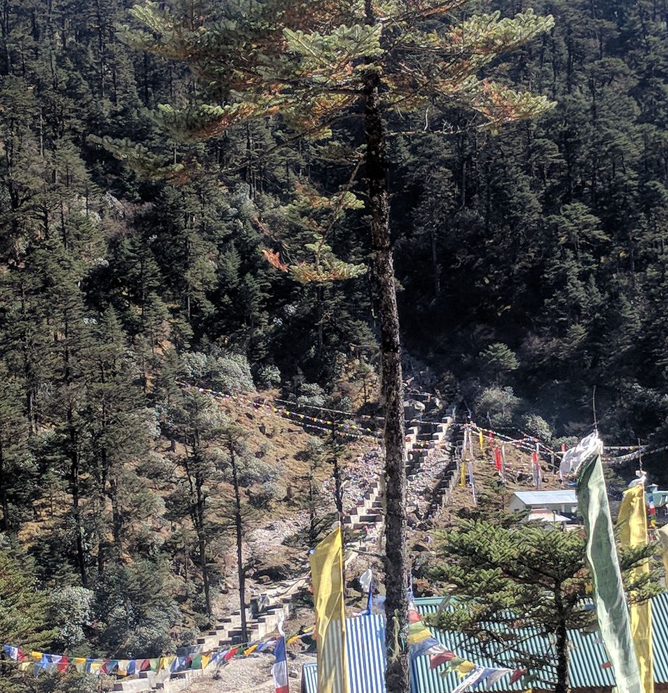Photo of All You Need to Know About Yumthang Valley, Sikkim by Sinchita Sinha