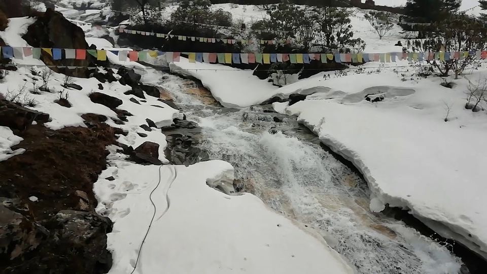 Photo of All You Need to Know About Yumthang Valley, Sikkim by Sinchita Sinha